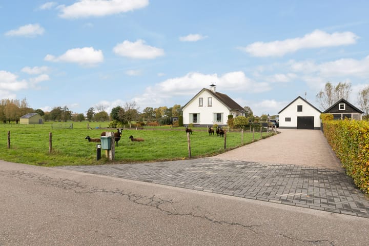 Photo 40 of Scheivoor 3