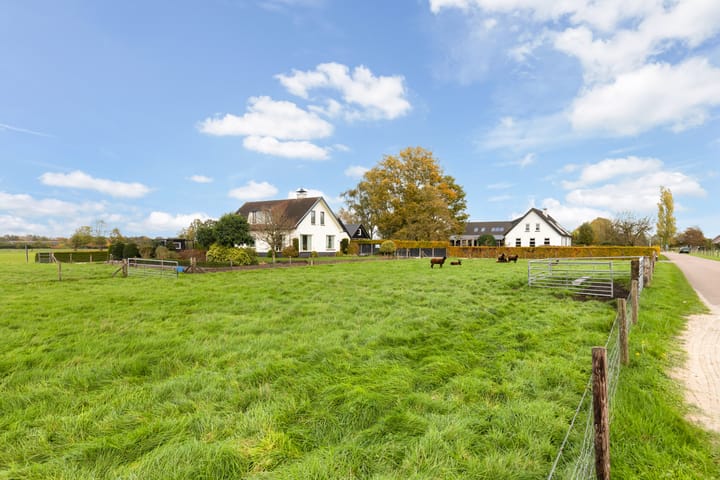 Photo 42 of Scheivoor 3