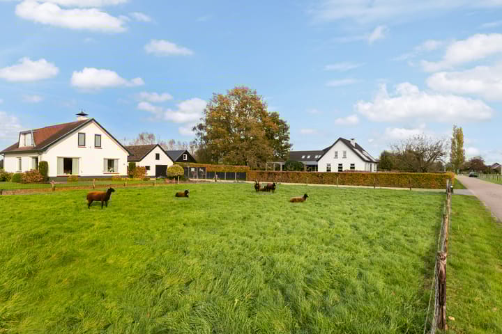 Photo 41 of Scheivoor 3