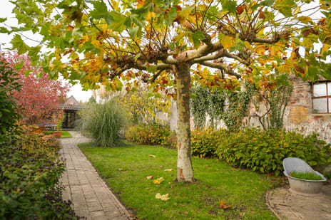 Tulpstraat 73 secondary image