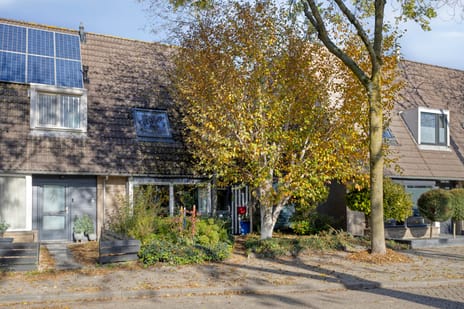 undefined main image