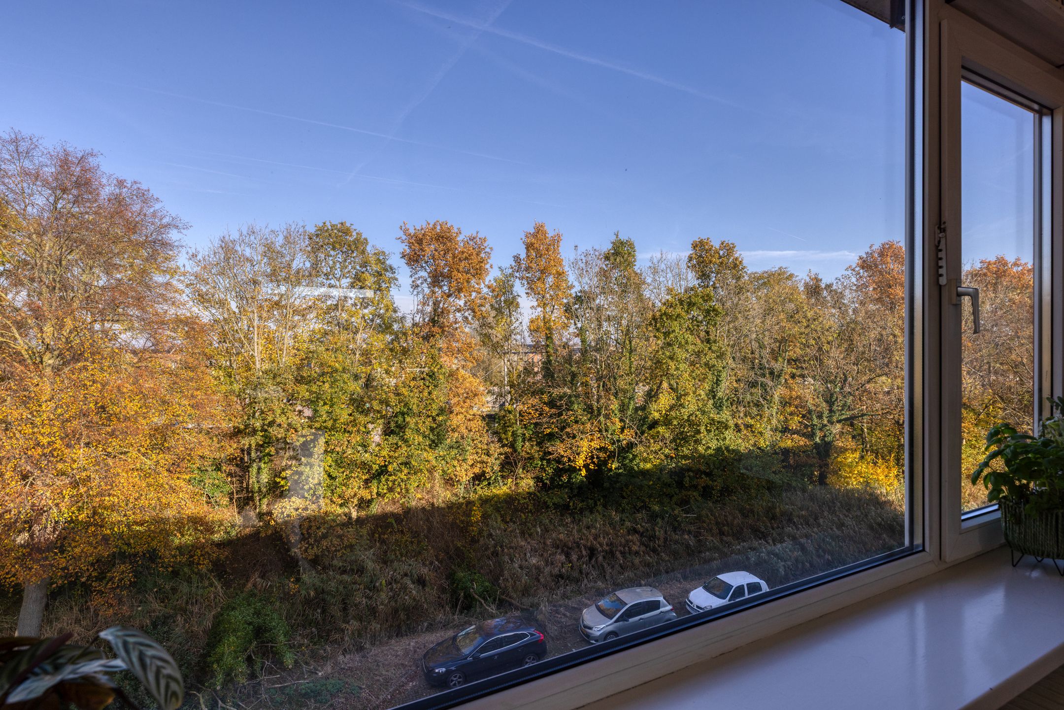 Foto 9 van Sportparklaan 215