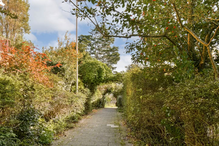 Photo 45 of Vinkenstraat 22