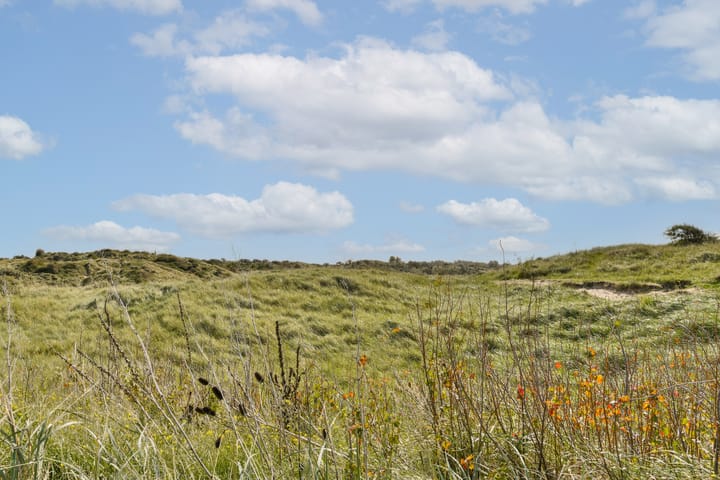 Photo 46 of Vinkenstraat 22