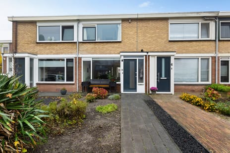 Helmer Molemastraat thumbnail