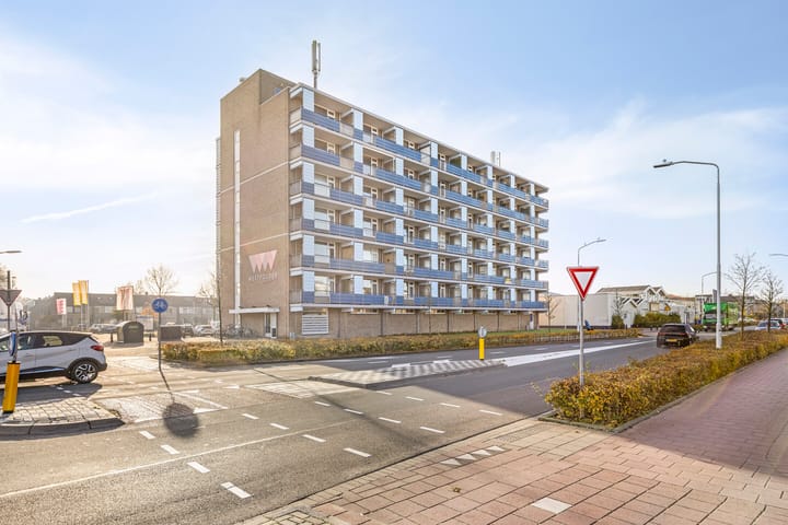 Photo 4 of Gerard Dousingel 38