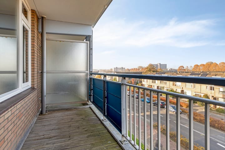 Photo 16 of Gerard Dousingel 38