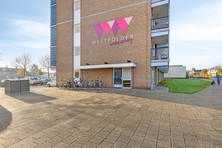 Photo 23 of Gerard Dousingel 38