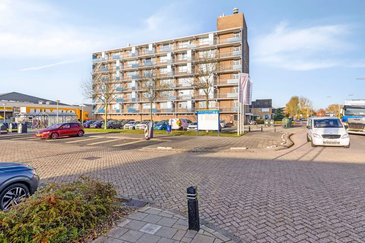 Photo 24 of Gerard Dousingel 38