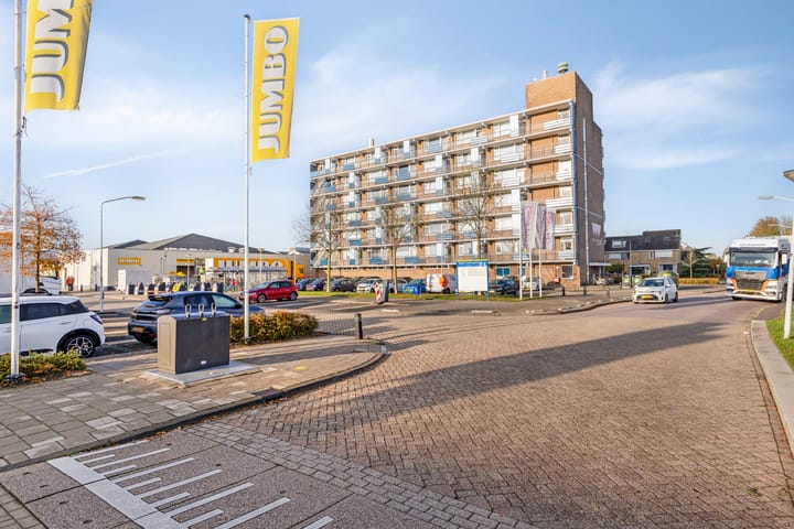 Photo 25 of Gerard Dousingel 38