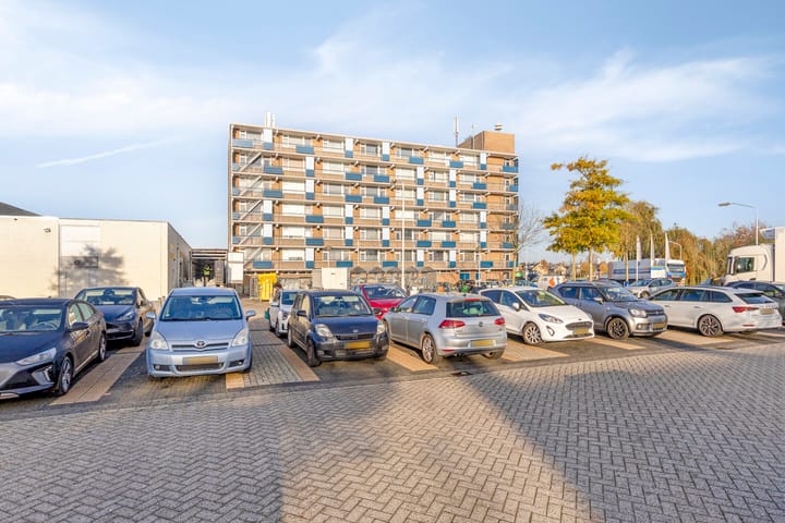 Photo 26 of Gerard Dousingel 38