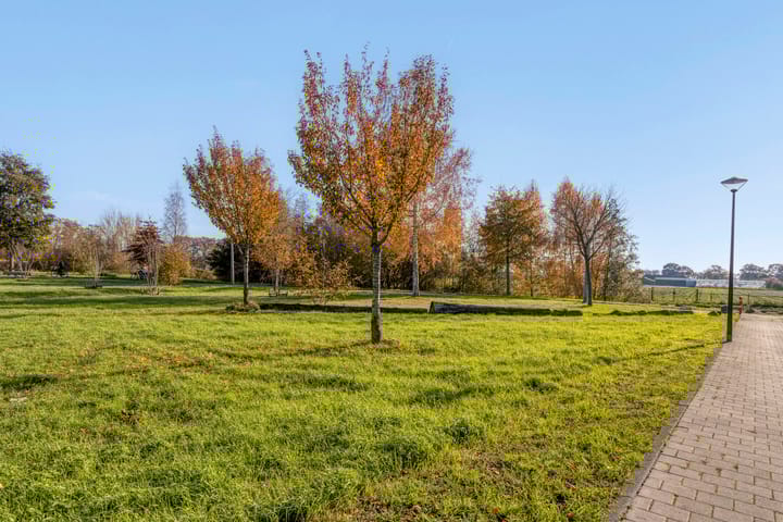 Photo 59 of Mottoen 90