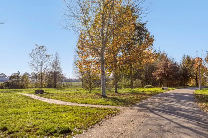 Photo 61 of Mottoen 90