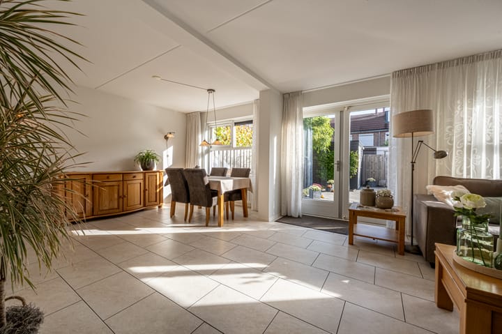 Photo 4 of Kleefkruid 12