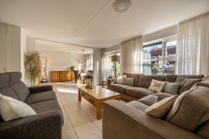 Photo 8 of Kleefkruid 12