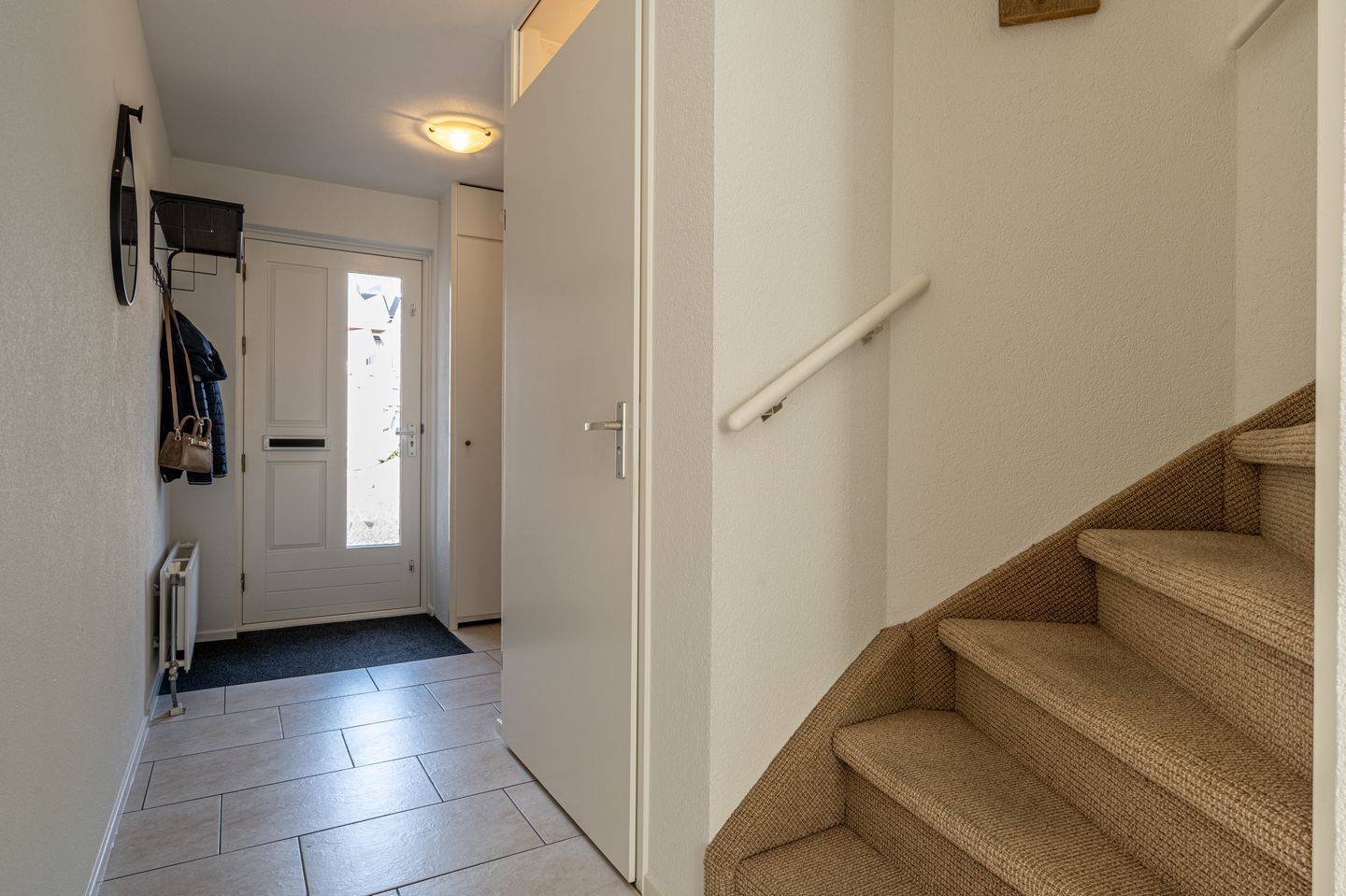 Foto 14 van Kleefkruid 12