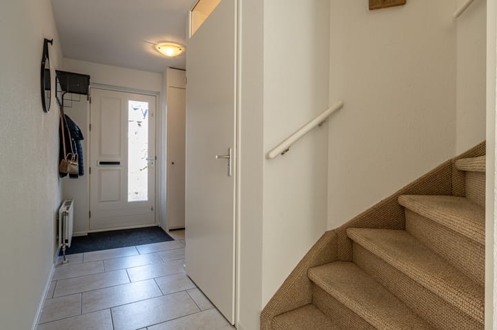 Photo 14 of Kleefkruid 12