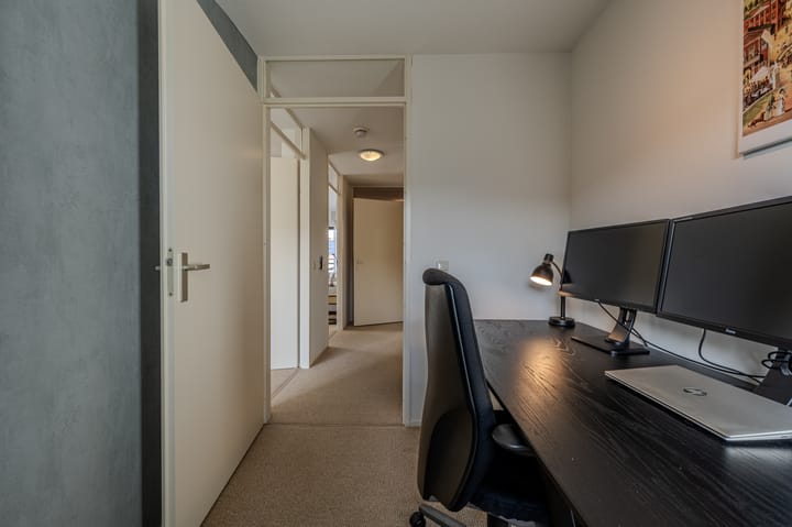 Photo 16 of Kleefkruid 12