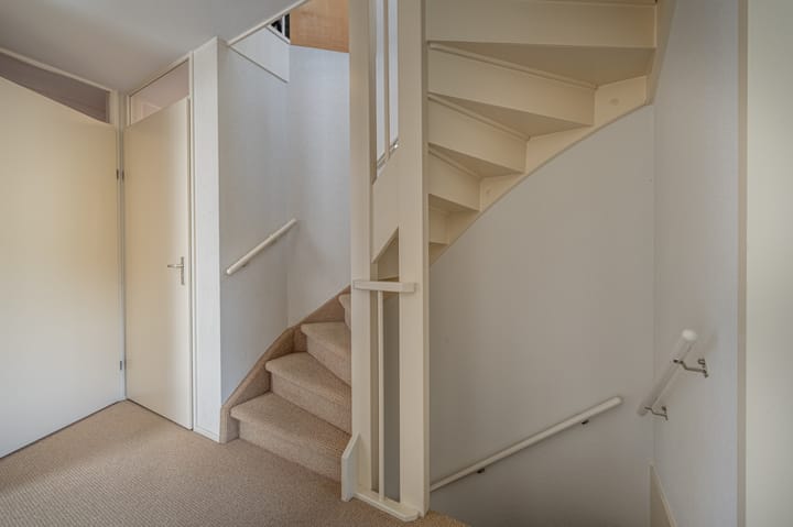 Photo 25 of Kleefkruid 12