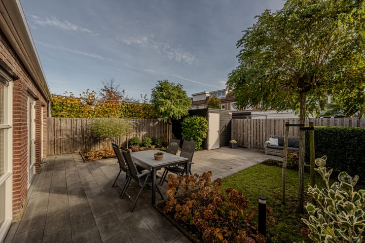 Photo 31 of Kleefkruid 12