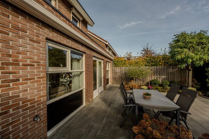 Photo 32 of Kleefkruid 12