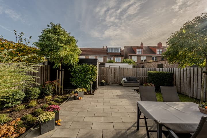 Photo 34 of Kleefkruid 12