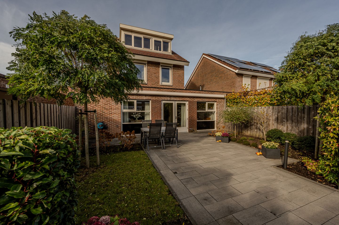 Foto 35 van Kleefkruid 12