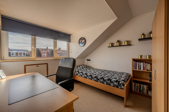 Photo 27 of Kleefkruid 12