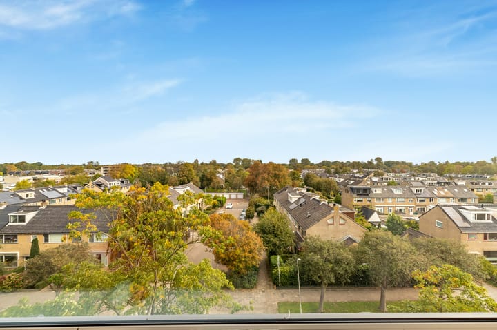 Photo 4 of Sans Souci 68