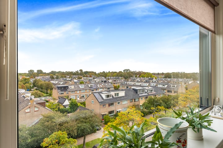 Photo 17 of Sans Souci 68