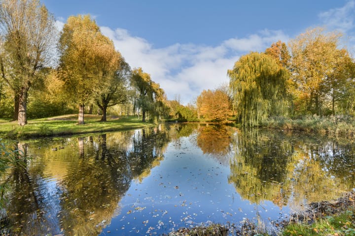 Foto 25 van Heelalstraat 121