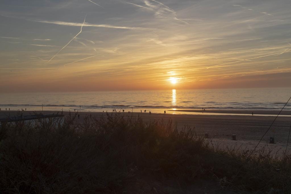 Foto 22 van Burgemeester van Fenemaplein 14