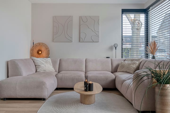 Foto 9 van Koekoeksbloem 2