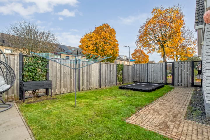 Foto 43 van Koekoeksbloem 2