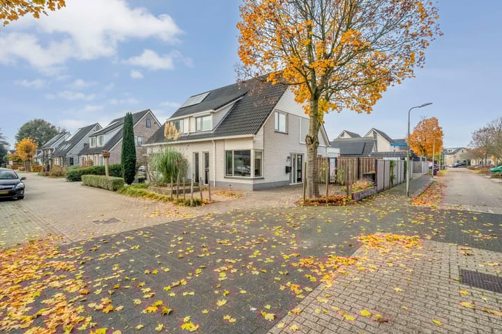 Foto 45 van Koekoeksbloem 2