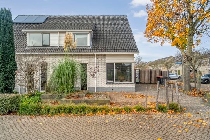 Foto 47 van Koekoeksbloem 2