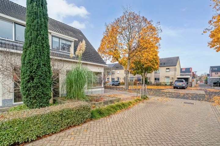 Foto 48 van Koekoeksbloem 2