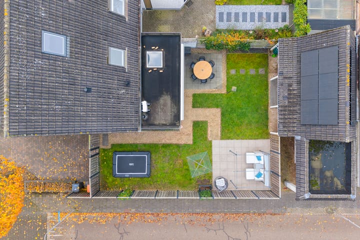 Foto 50 van Koekoeksbloem 2