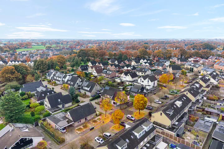 Foto 53 van Koekoeksbloem 2