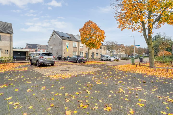 Foto 55 van Koekoeksbloem 2