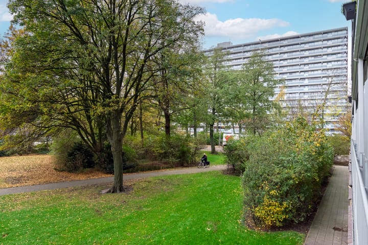 Foto 23 van Hemingwayplaats 16