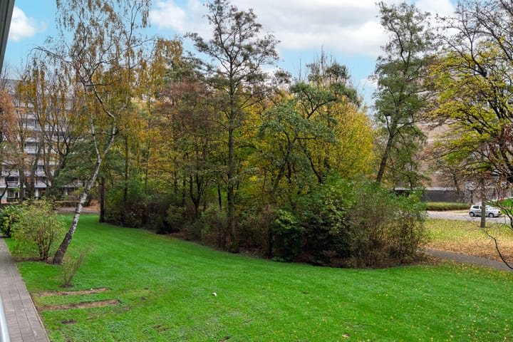 Foto 25 van Hemingwayplaats 16