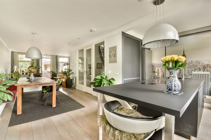 Photo 8 of Cornelis Troostplein 4-3