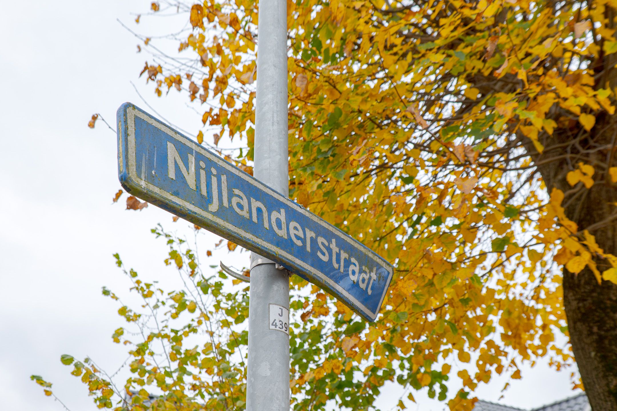 Foto 6 van Nijlanderstraat 3