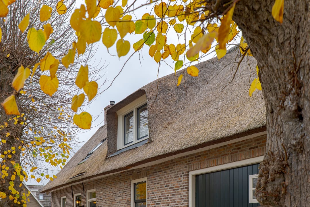 Foto 8 van Nijlanderstraat 3