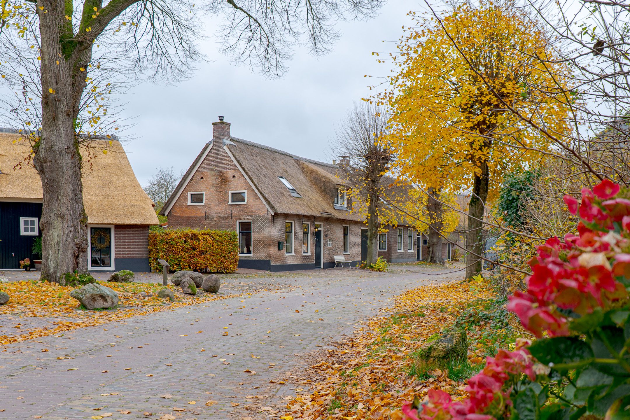 Foto 9 van Nijlanderstraat 3