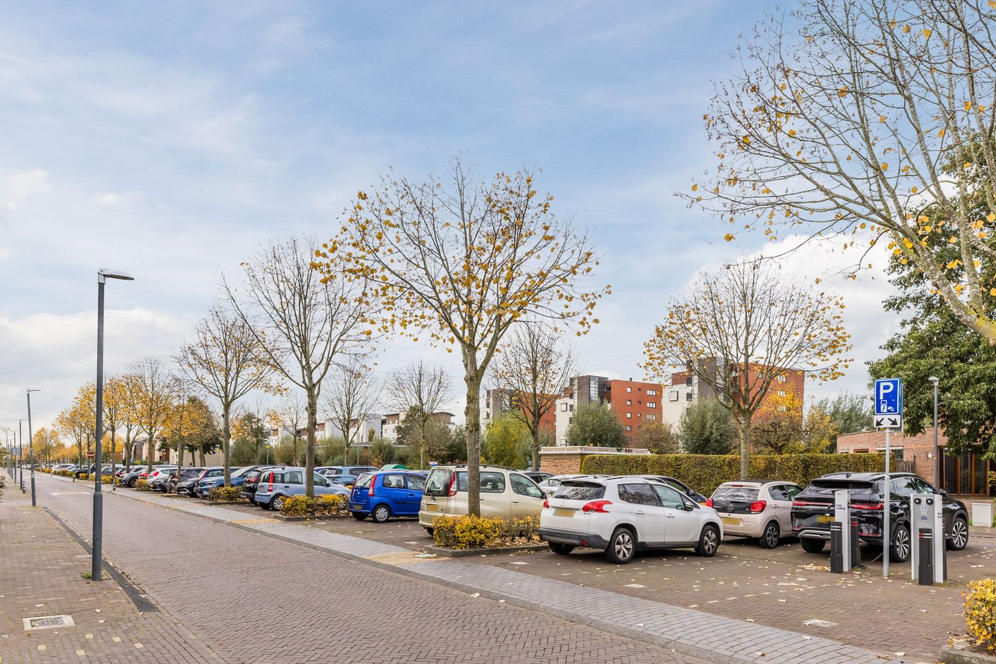 Photo 40 of Eli Heimanshof 77