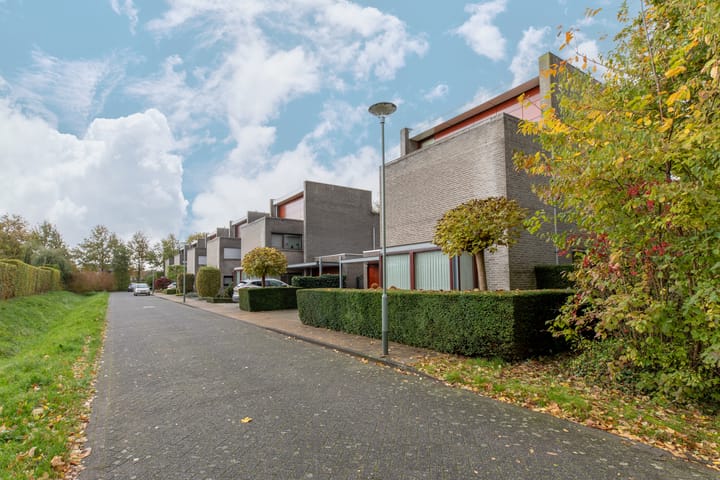 Foto 2 van Goudvink 2