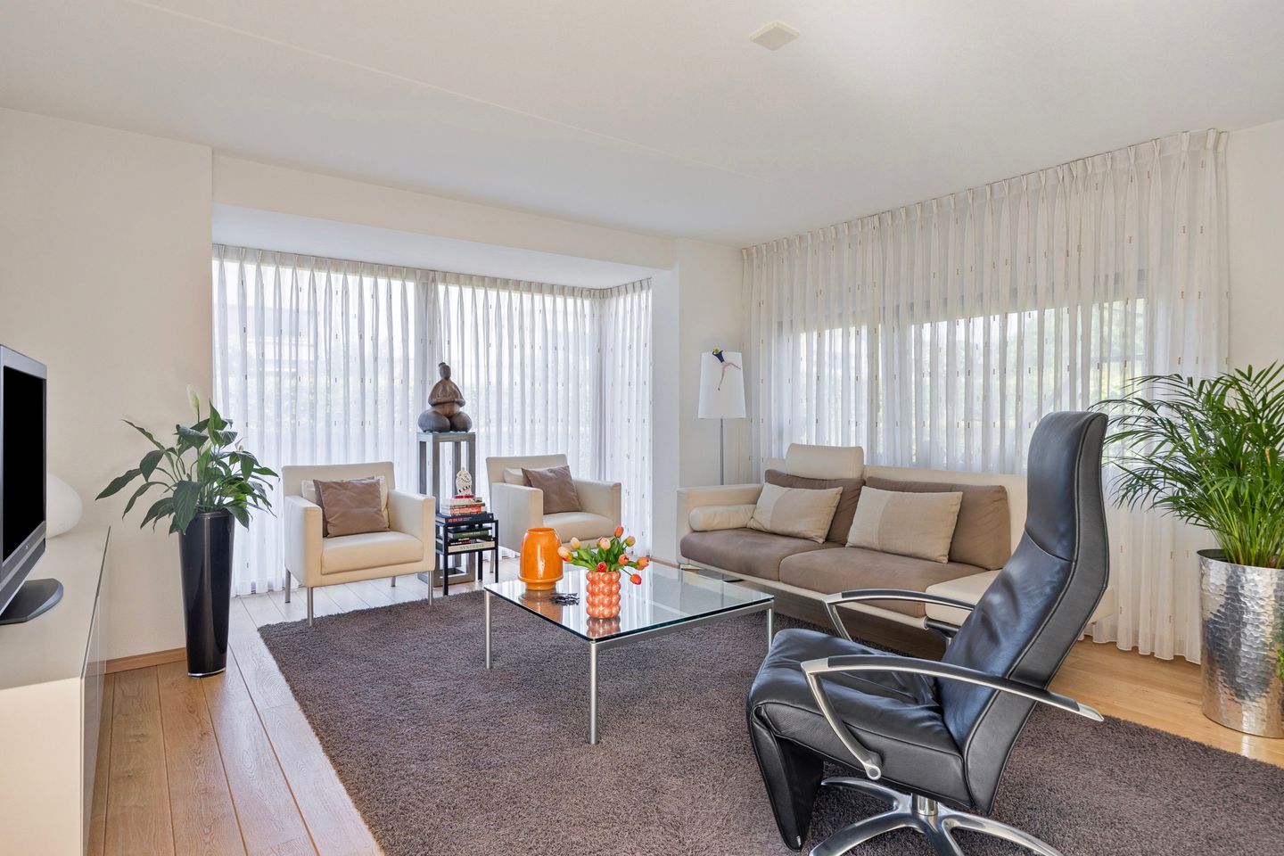 Photo 5 of Goudvink 2