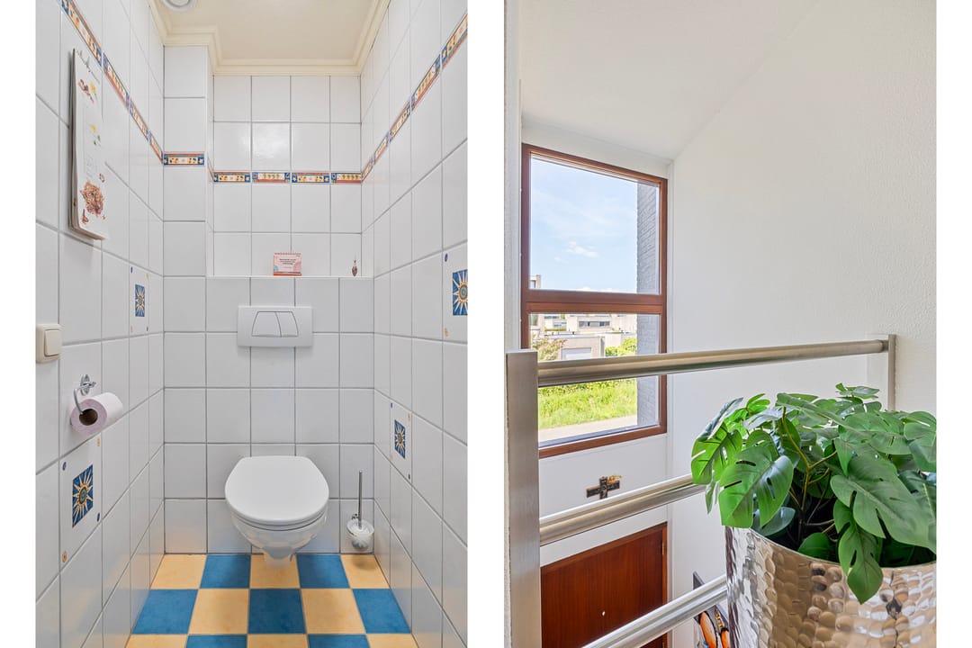 Photo 13 of Goudvink 2